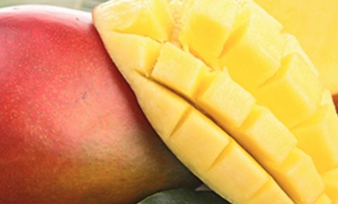 5 cosas que no sabías del mango
