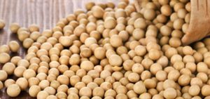 5 datos que debes saber de la leche de soya