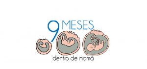 9 meses dentro de mamá
