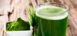 Alga espirulina, una aliada del sistema inmunológico