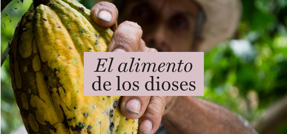 Cacao Grijalva: orgullosamente nuestro