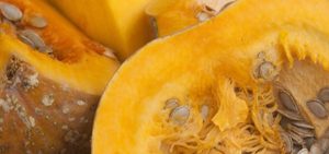 CALABAZA DE CASTILLA