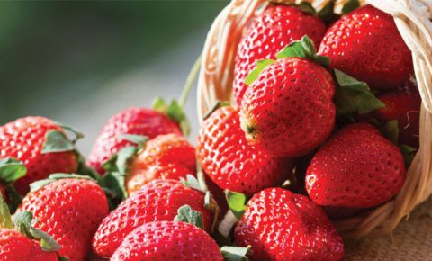 Colesterol: 5 frutas que te conviene comer
