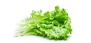 Come lechuga y sueña profundo