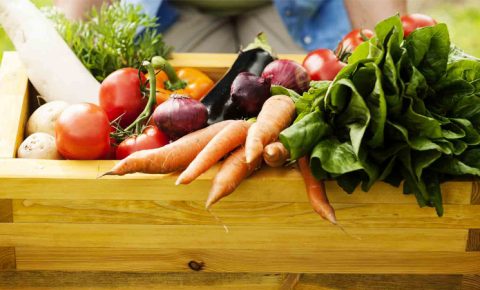 Comida orgánica: Lo que todos debemos saber