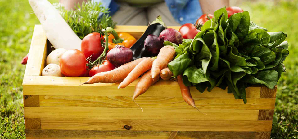 Comida orgánica: Lo que todos debemos saber