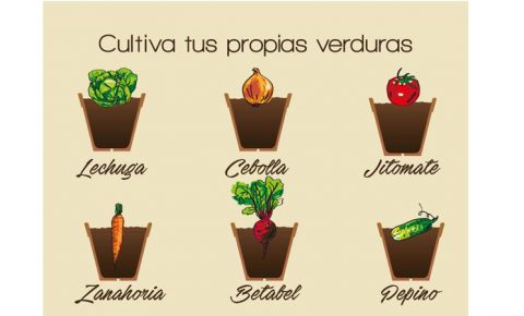 Cultiva tus propias verduras