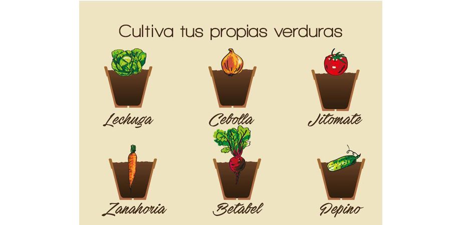 Cultiva tus propias verduras