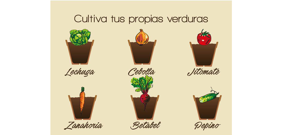 Cultiva tus propias verduras