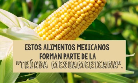 Del campo a la mesa: Dieta Mesoamericana