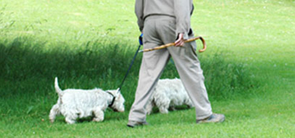 Ejercicios ideales para hipertensos