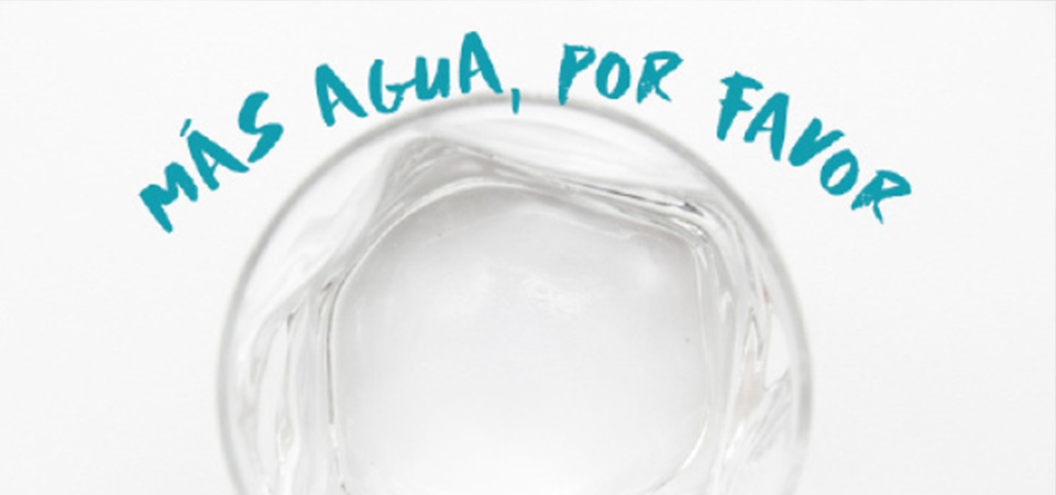 La importancia del agua en tu organismo