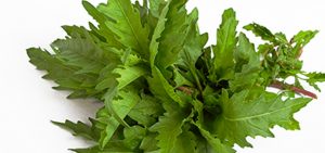 Epazote, ligero y aromático