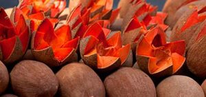 Frutos exóticos de México