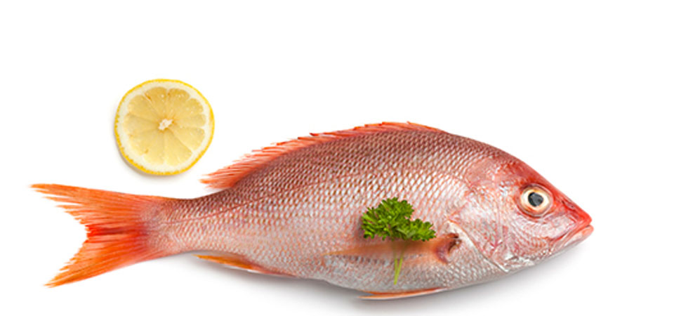 Huachinango para la cena de hoy