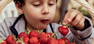 La otra cara de las fresas