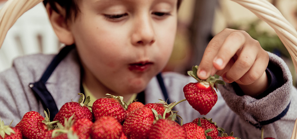 La otra cara de las fresas