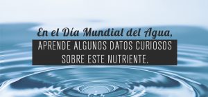 Lo que no sabías acerca del agua