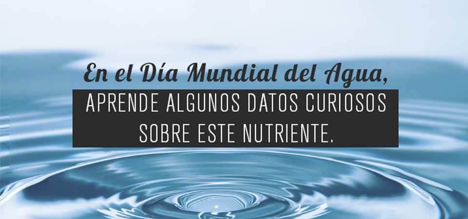 Lo que no sabías acerca del agua | Chef Oropeza