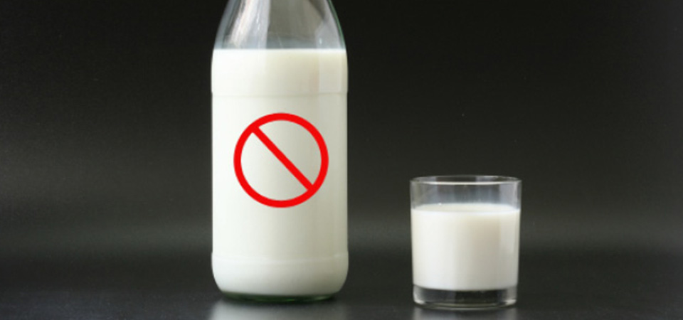 Lo que no sabías sobre los lácteos