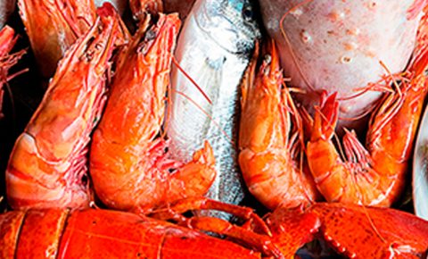 Los 10 mejores mercados de pescado del mundo
