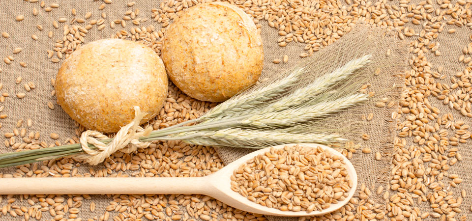 Alimentos con gluten: ¿son los más nutritivos?