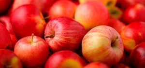 Manzana roja: el fruto ¡cero prohibido!