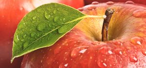 Manzanas, ¿son tan buenas como dicen?