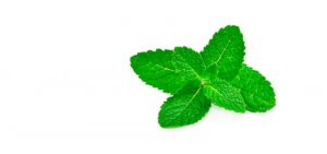 Menta para tu hipertensión