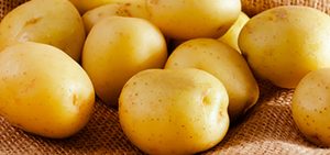 Papas en todas sus formas