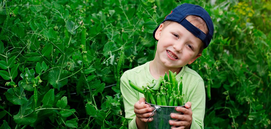 ¿Por qué tu hijo debe comer leguminosas?
