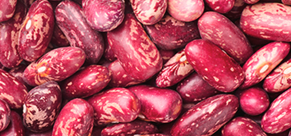 Potencializa tu rendimiento con frijoles