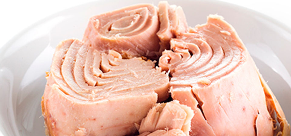 Los beneficios del Atun