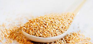 Soya para tu colesterol
