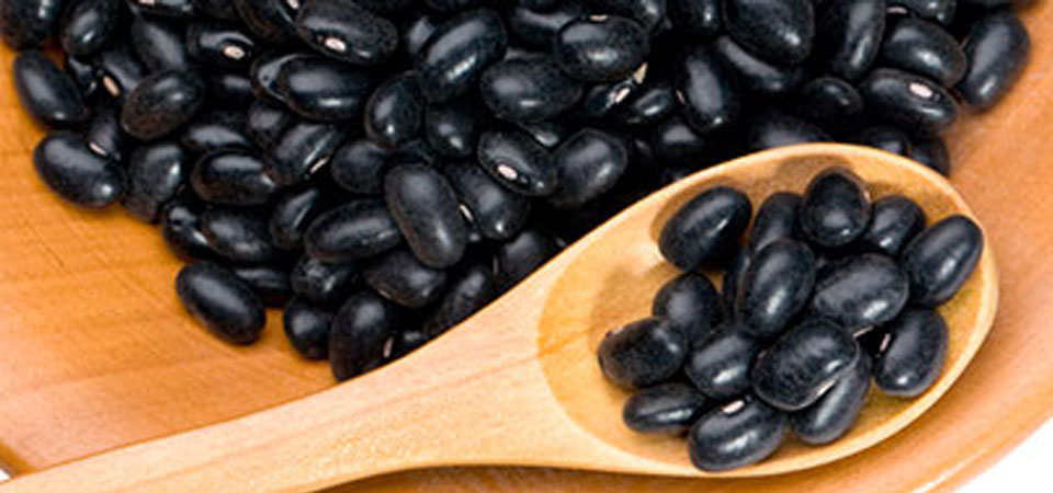 Tradicional y nutritivo