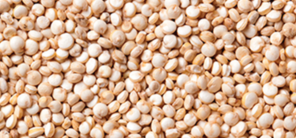 Una maravilla baja en grasa