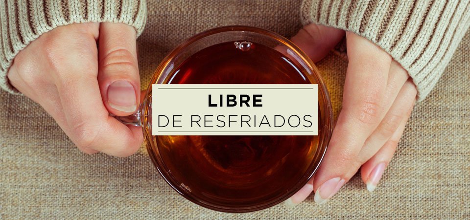 ¿Cómo combatir y prevenir la gripa?