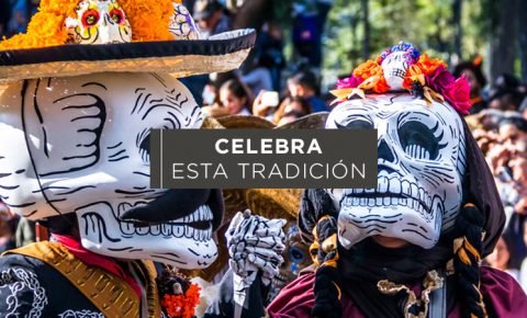 6 Datos curiosos del altar de muertos