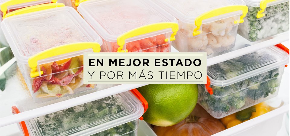 ¿Cómo conservar tus alimentos?