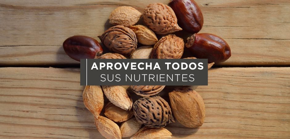 Estados productores y beneficios de alimentos de temporada