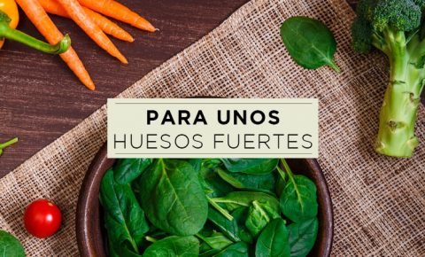 Alimentos que previenen la osteoporosis