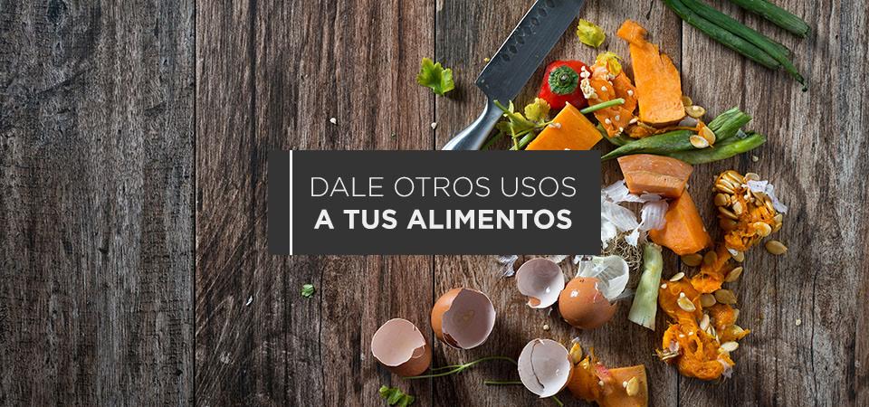 Alimento para tu jardín