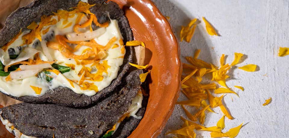 Quesadillas de Flor de Cempasúchil | Chef Oropeza